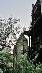 temperance hospital, euston, london