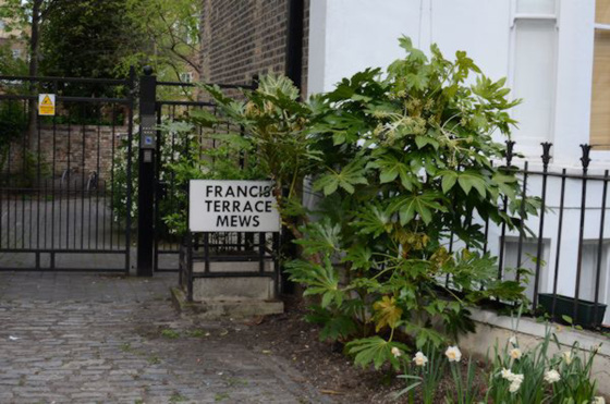 Francis Terrace Mews