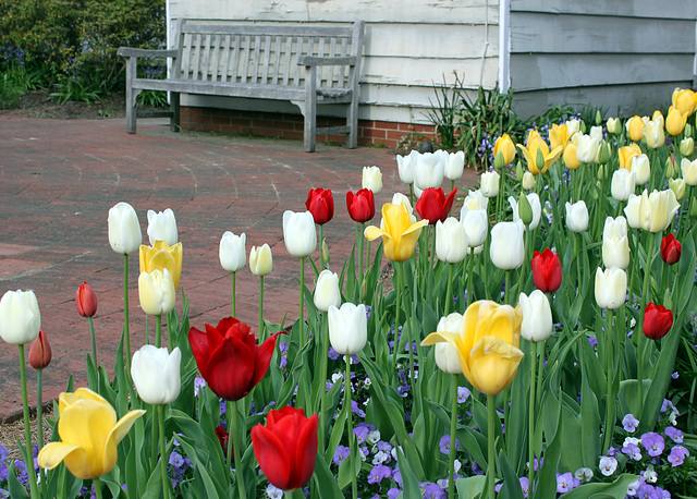 Bench, Tryon Palace grounds