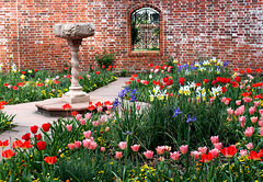 Spring, Kellenberger Garden, Tryon Palace