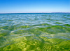 Arrábida from far away