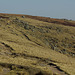 Path to Kinder Downfall