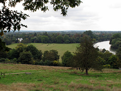 View towards Terrace Field