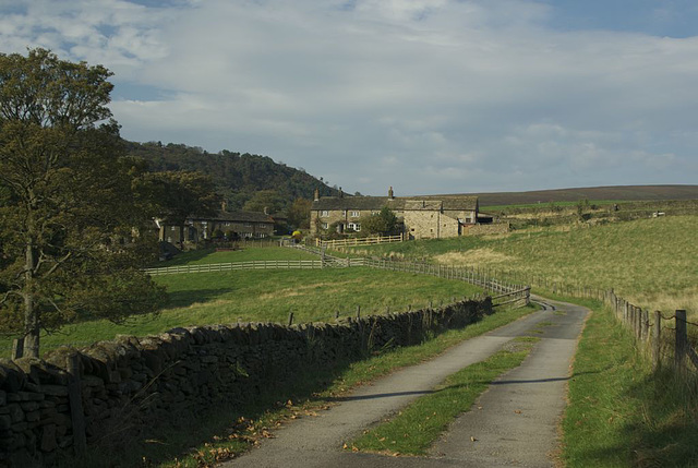 Hill Houses