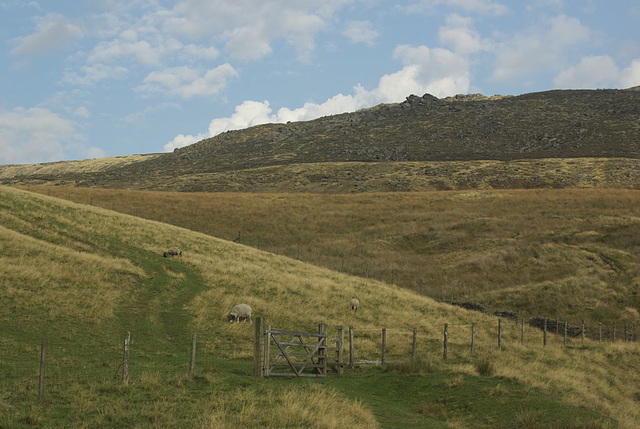 Kinder from Broad Clough