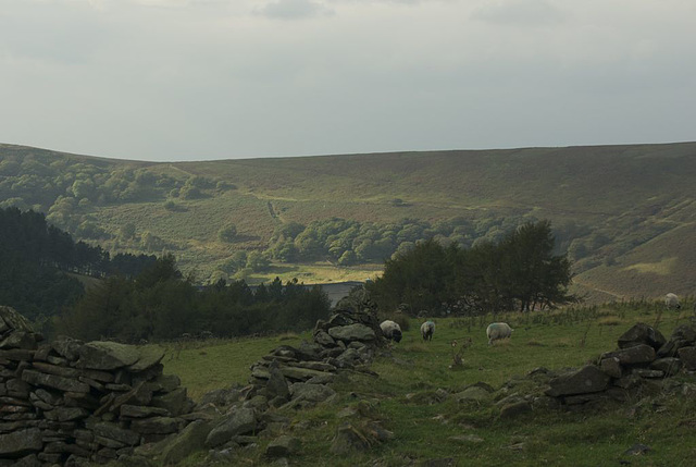 White Brow across Kinder Reservoir