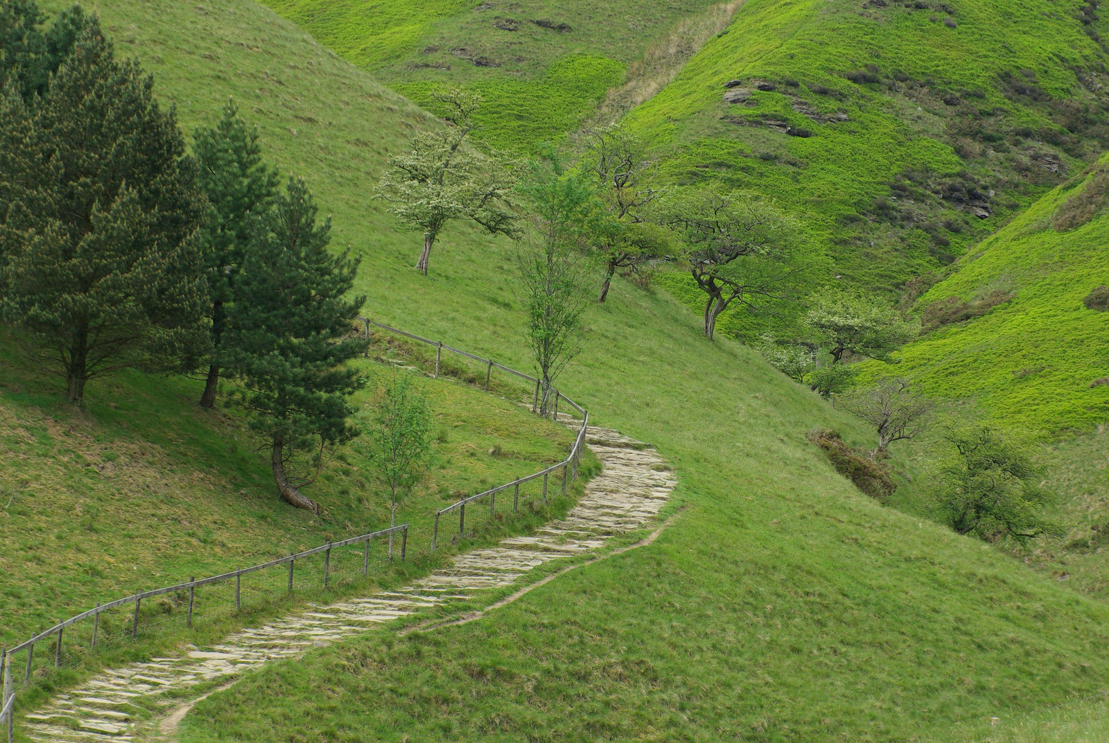 paved section of the Pennine Way over Kinder Scout