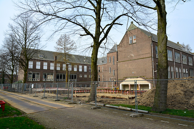 Work on the Anatomy Lab