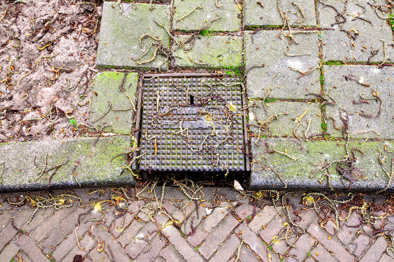 Drain cover of W.W. van der Vet