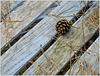 kræmmerhuset: garden chair with pine cone