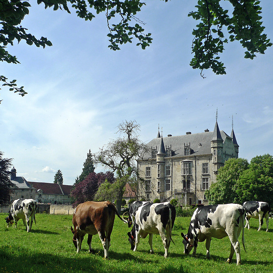 Nederland - Schin op Geul, Kasteel Schaloen