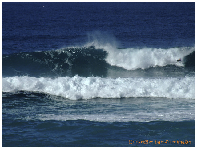 pacific waves