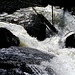 Rocky Mountain National Park - June