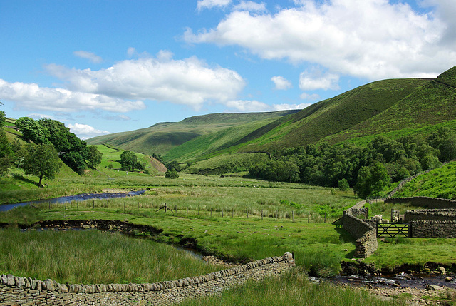 View East at the bottom of Fairbrook
