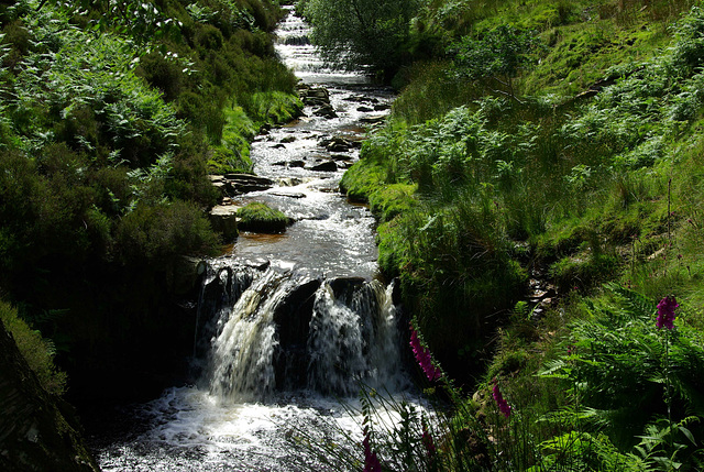 Waterfall on Fair Brook