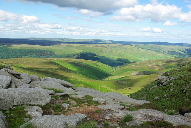 View NE from the top of Fairbrook