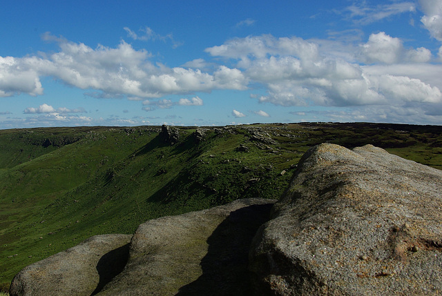 Seal Edge from Fairbrook Naze