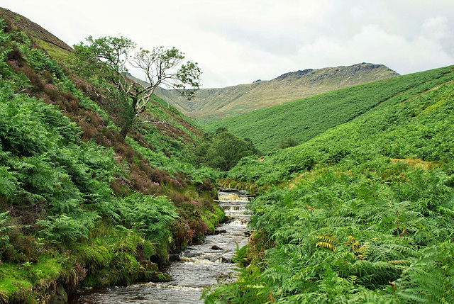 Leading to Kinder Scout