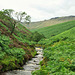Leading to Kinder Scout