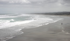 Muriwai Beach