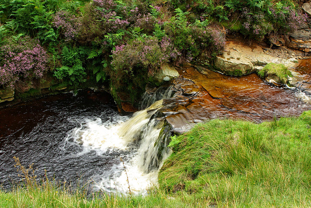 The famous falls from the path