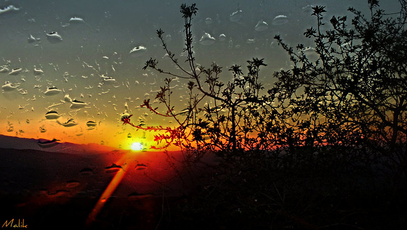 Bon Dimanche/Good Sunday.