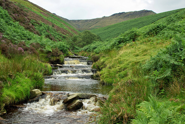 The lower cascades