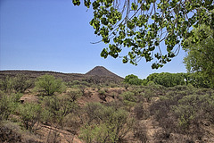 Brunckow Hill near Charleston