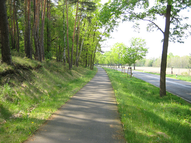 Radweg Löwendorf - Ahrensdorf