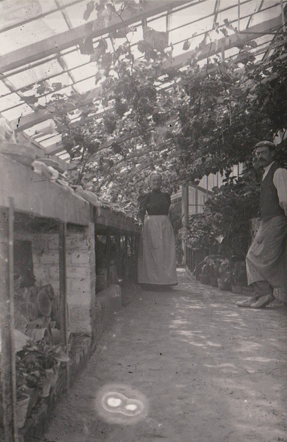 verrière - photo sur verre développée en argentique, puis numérisée