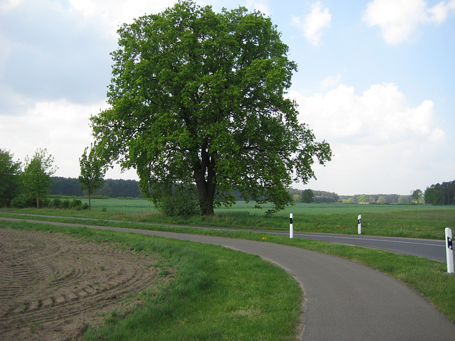 Radweg Ahrensdorf - Hennickendorf