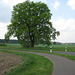 Radweg Ahrensdorf - Hennickendorf
