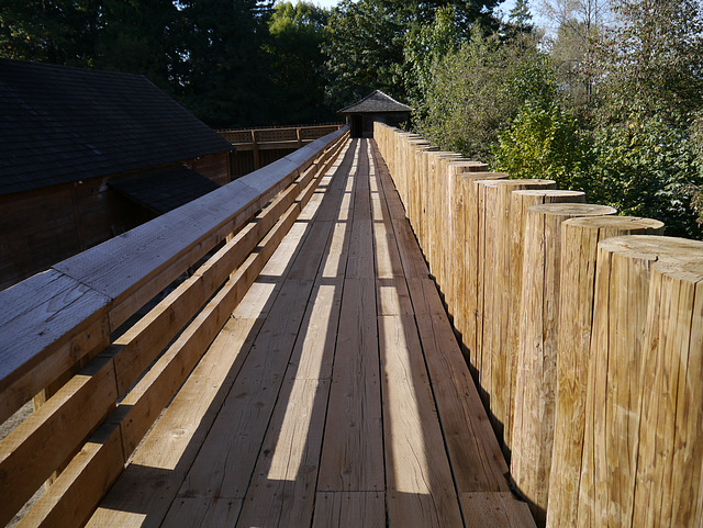 Fort Langley Palisade