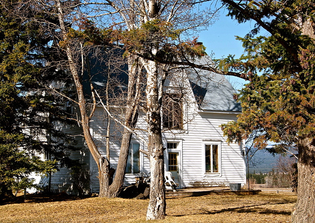 West Fraser Road, Buck Ridge.