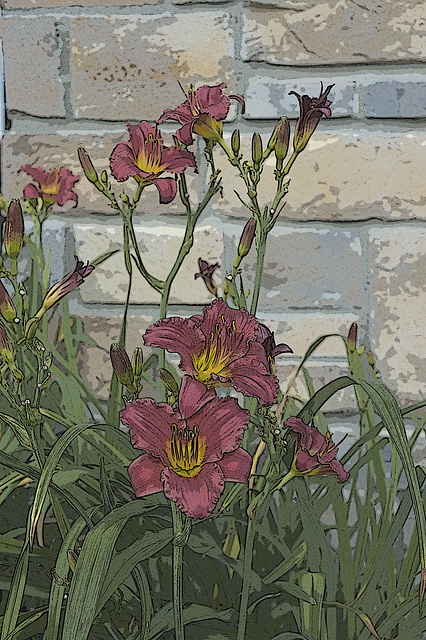 daylilies and wall