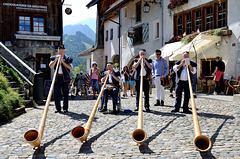 Cors des Alpes au village de Gruyères