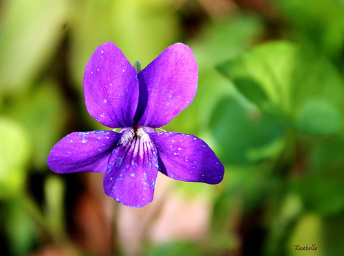 Have a nice week-end !