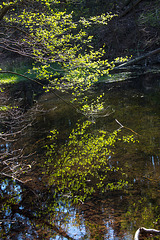 20140417 1283VRAw [D-LIP] Donoperteich, Detmold-Pivitsheide