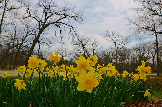 Lake Bluff, IL