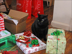 Kiah Amongst the Gifts