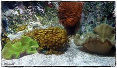 LA ROCHELLE LA ROCHELLE