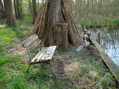 Kleiner Wünsdorfer See