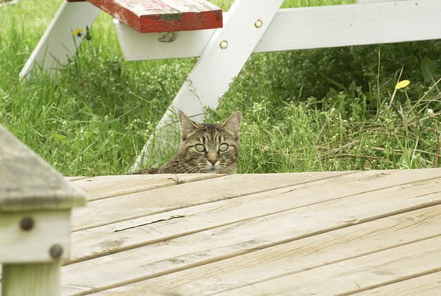 Oh. You're There.