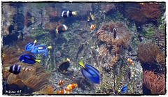 LA ROCHELLE LA ROCHELLE