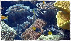 LA ROCHELLE LA ROCHELLE