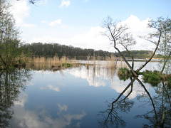 Kleiner Wünsdorfer See