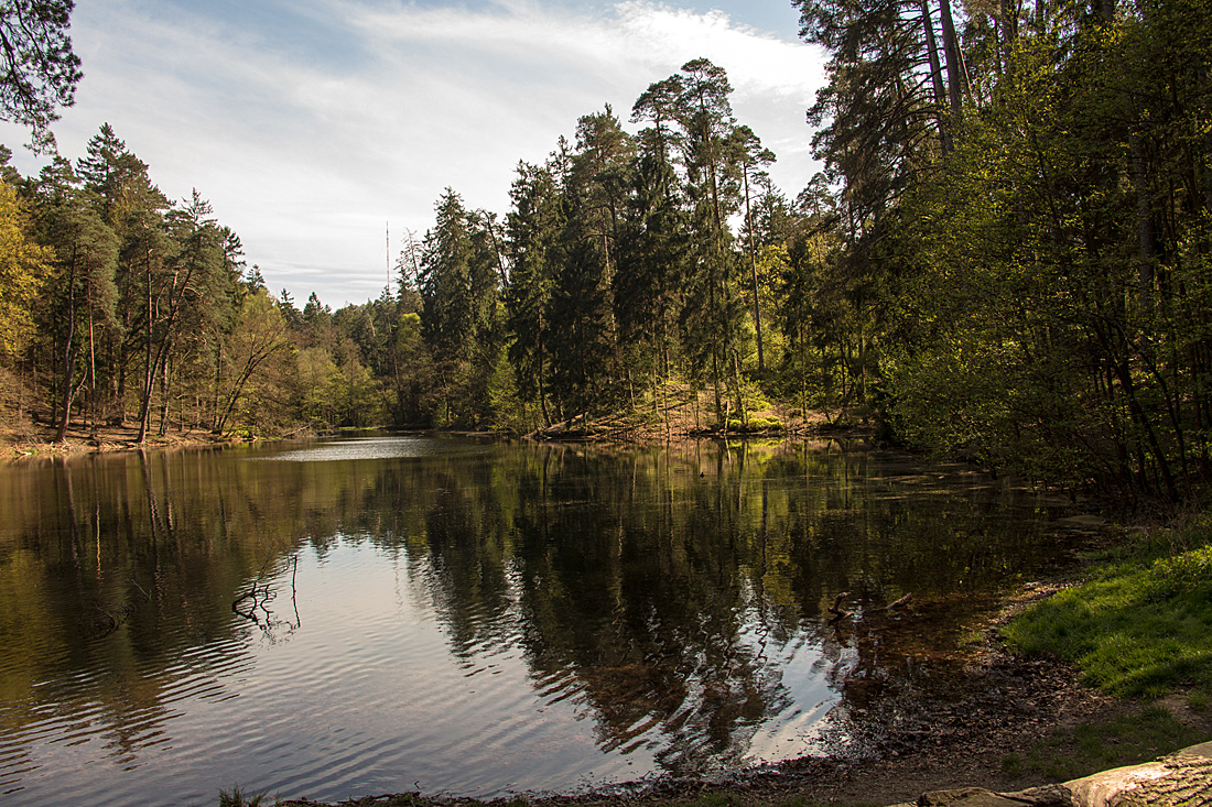 20140417 1260VRAw [D-LIP] Donoperteich, Detmold-Pivitsheide