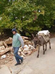 On Naxos