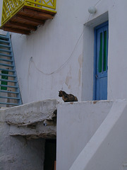 Antiparos