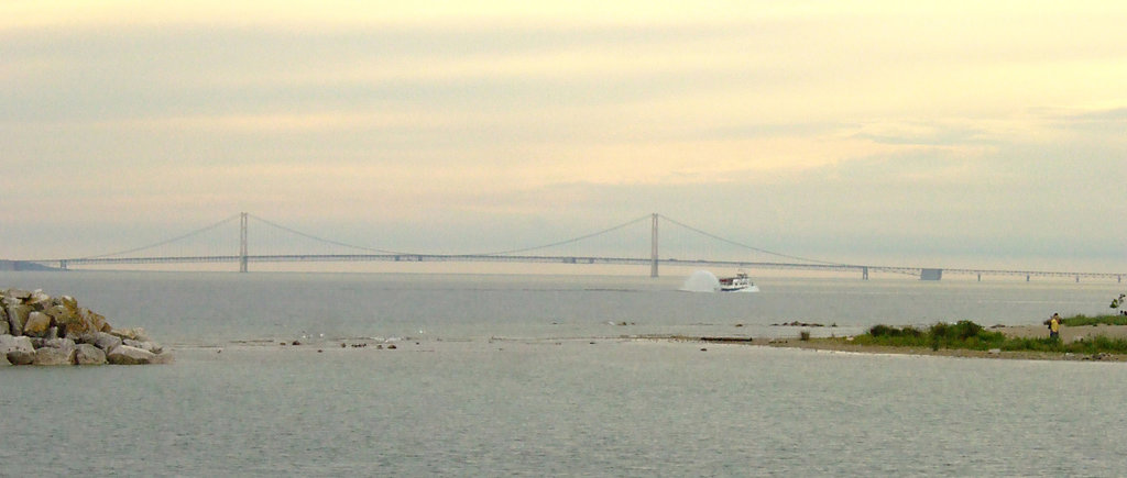 Aspects of the Bridge